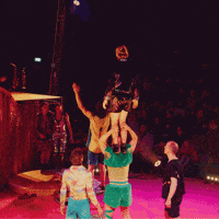Flip Catch GIF by Circus I love you