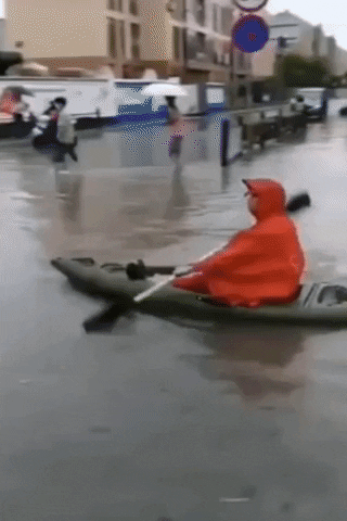 ghswk88 giphyupload GIF