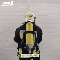 fitness entertainment GIF by WDR