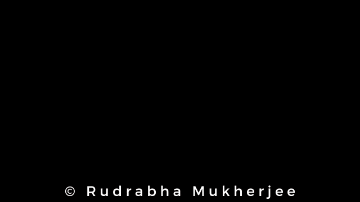 imrudrabha giphygifmaker giphygifmakermobile bollywood boycott bollywood GIF