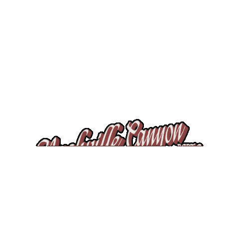 Nashville Canyon Sticker by Jessica Simpson