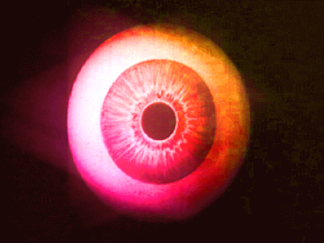 Pink See GIF