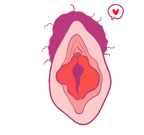 Rachel Lev Sticker