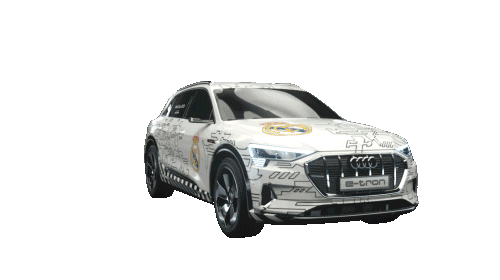 Summer Love Sticker by Audi Football