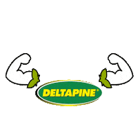 Dp Sementes Sticker by Agro Bayer