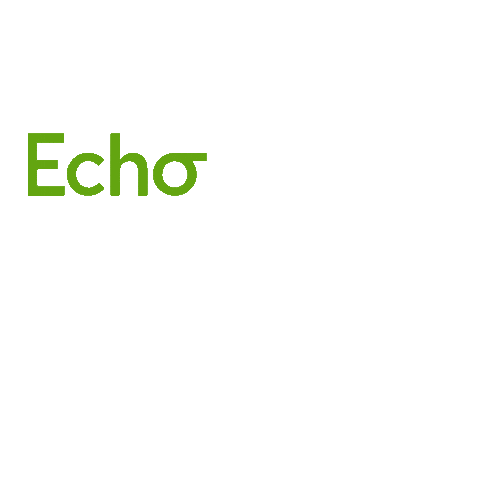 Nascar Racing Sticker by EchoPark Speedway