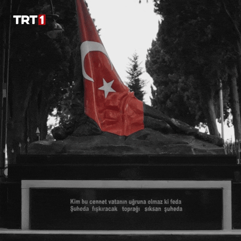 19 Mayıs Turkey GIF by TRT