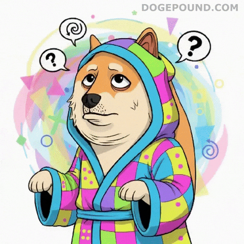 Shiba Inu What GIF by Doge Pound