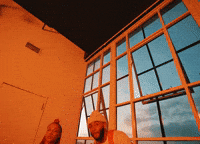 Joey GIF by Wolfacejoeyy