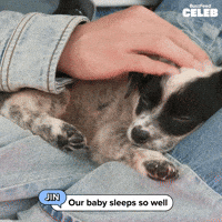 K Pop Sleeping GIF by BuzzFeed