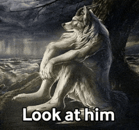 Lonely Wolf GIF