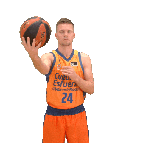 Liga Endesa Sport Sticker by ACB