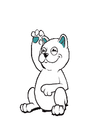 cat sticker
