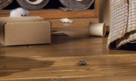 tweedyandfluff giphyupload cute friends surprise GIF