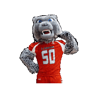 Division Ii Football Sticker by Sul Ross State University