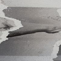 art glitch GIF by Liaizon Wakest