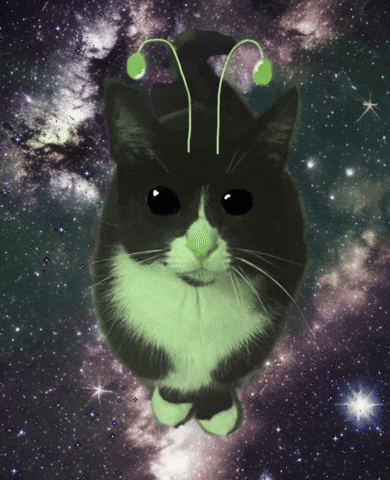 Cat Aliens GIF