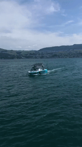 ceccotorenas giphygifmaker wakeboat onthelake ceccotorenas GIF