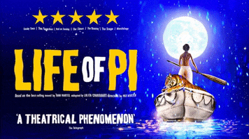 Lifeofpi GIF by SQT
