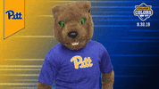 College Sports Mascots GIF by College Colors Day