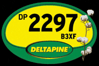 Deltapine GIF by Bollgard