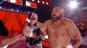 wwe reaction reactions wwe wrestling GIF