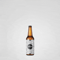 Beer Beercraft GIF by victorious_es