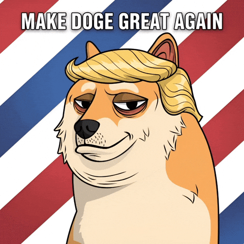Donald Trump Politics GIF by Doge Pound