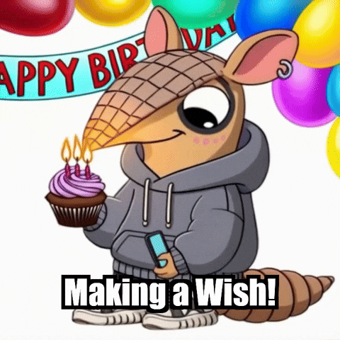 Party Birthday GIF by Chillo Dillo