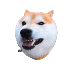 Dog Shiba Sticker by Arata