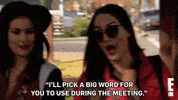 total bellas nikki GIF by E!