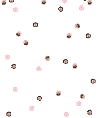 celebration flowers Sticker by MIMCO