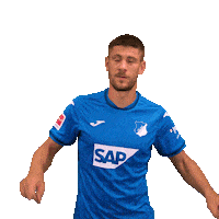 Andrej Kramaric Sport Sticker by TSG Hoffenheim