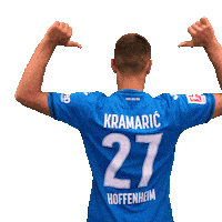 Andrej Kramaric Sport Sticker by TSG Hoffenheim