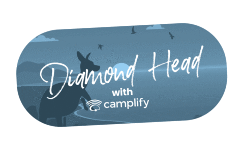 Camping Diamond Head Sticker by Camplify