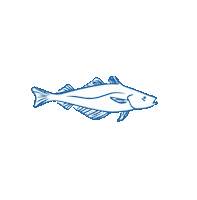 Water Swimming Sticker by Marine Stewardship Council (MSC)