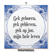 Nl Wijsheid Sticker by Tegelspreuken.nl