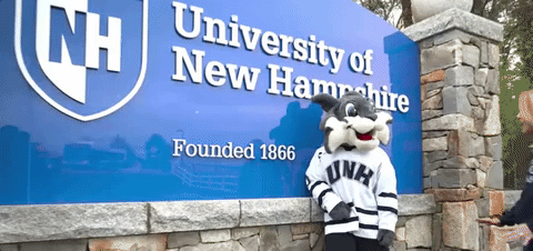 new hampshire mascot GIF by University of New Hampshire