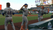 Home Run Celebration GIF by New York Mets
