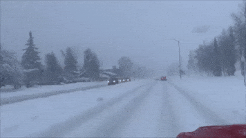 Record-Breaking Snow Blankets South-Central Alaska