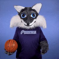 Basketball Ball GIF by St. Louis Community College