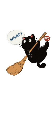 Black Cat What Sticker