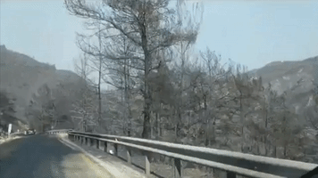 Wildfire Leaves Charred Landscape Near Marmaris, Turkey