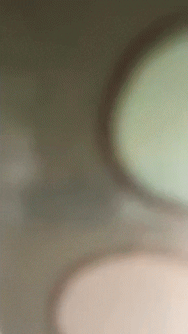 Youtube Twitch GIF by Youtooz