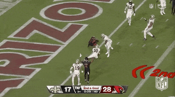 Arizona Cardinals Football GIF by NFL