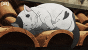 Cowboy Bebop Cat GIF by Adult Swim