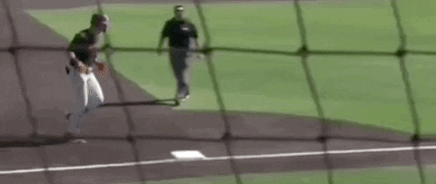 Texas Tech Baseball GIF by NCAA Championships