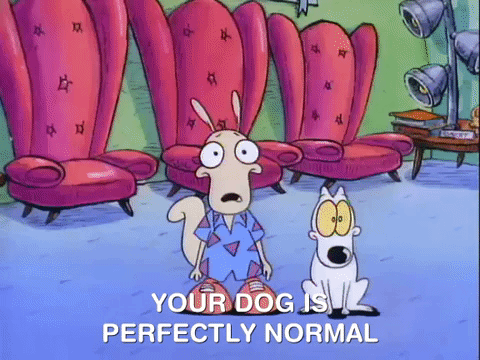 rockos modern life nicksplat GIF