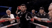 toprank fight boxing fighting espn GIF