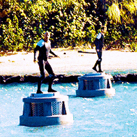 the hunger games film GIF